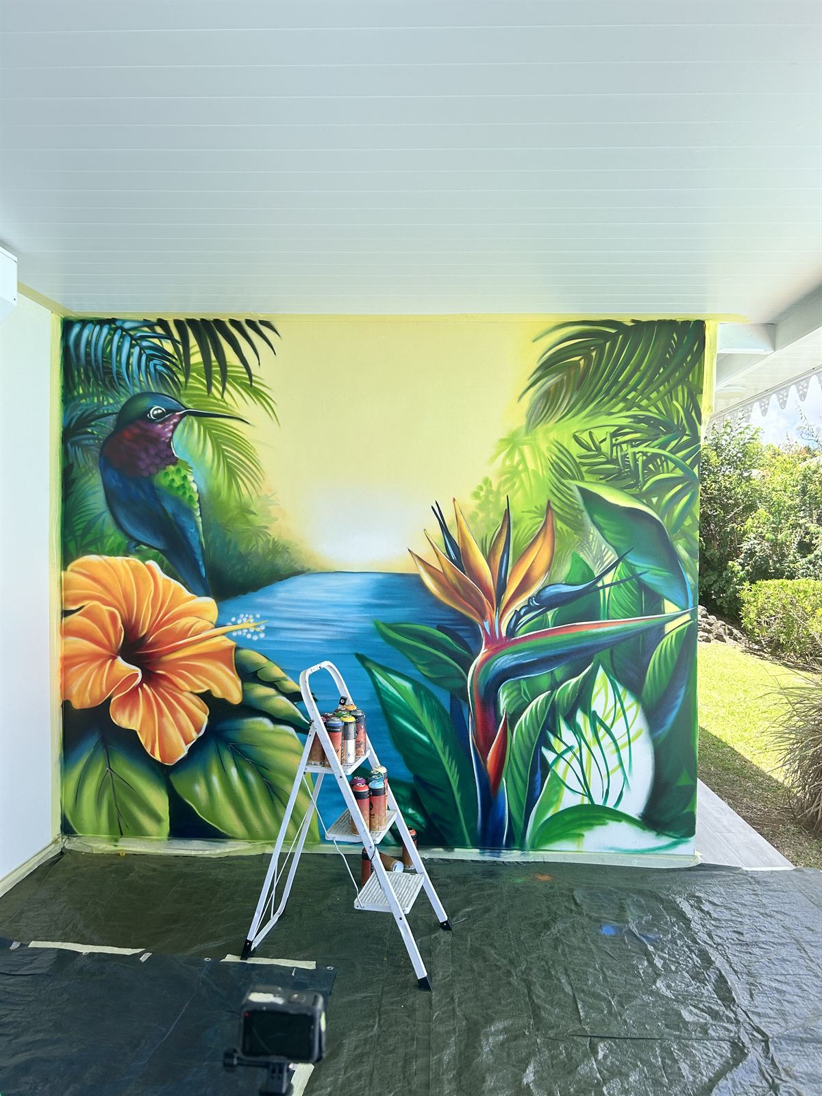 Fresque colibri et oiseau de paradis — décoration particulier